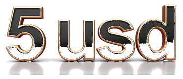 5usd logo